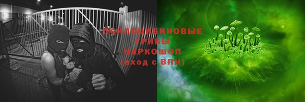 PSILOCYBIN Волоколамск