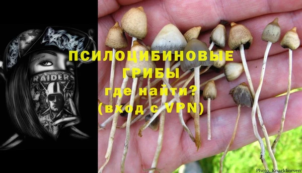 трава Анжеро-Судженск