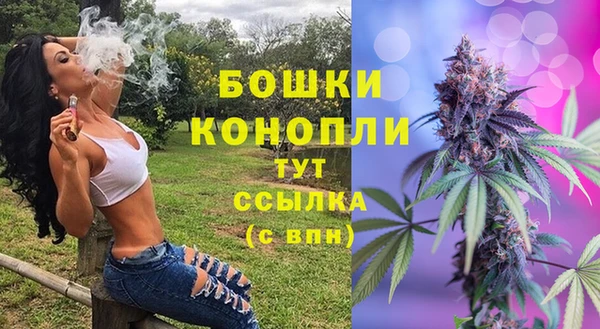 прущие крисы Верея