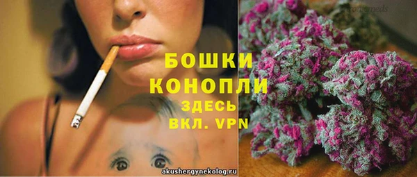 спиды Волосово