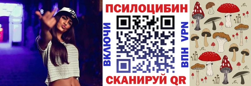 блэк спрут ссылка  купить наркотики цена  Зеленодольск  Галлюциногенные грибы мицелий 